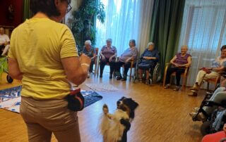 Therapiehündin in Grafenwörth