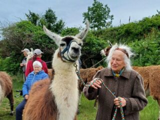Urlaubsfreude in Kittsee und Kirchberg am Wechsel