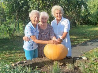 Kürbis in Stegersbach